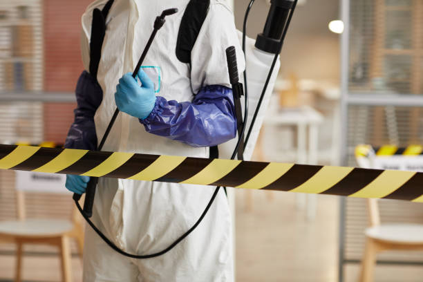 Professional Sewage Cleanup technician working in East Orleans, MA